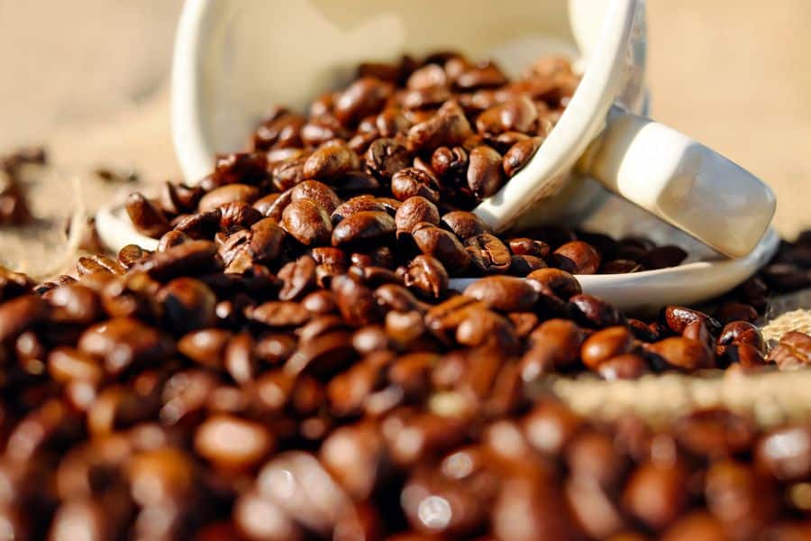 Três amostras de café moído vs em grão com granulometrias diferentes para espresso, coador e prensa